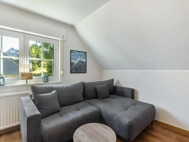 Wohnzimmer mit Sofa unter der Dachschräge, Superior Apartment